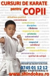 Cursuri de Karate pentru Copii Timisoara