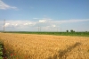 Cumpar terenuri in Bucuresti, Ilfov si in judetele limitrofe