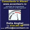 Activitati de Consultanta pentru Afaceri si Management prin Accent Serv International