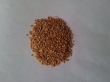 Seminte GOJI-lycium barbarum chinensis-Soiul Ningxia NQ 1.