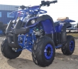 ATV NITRO MOTORS TORONTO MIDDI  M7, 2021, AUTOMAT
